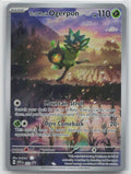 Teal Mask Ogerpon 123 SV: Scarlet & Violet Promo Cards Pokemon NM English